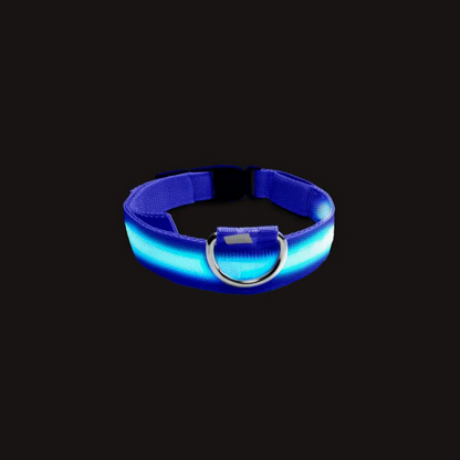 Collare LED Luminoso per Cani o Gatti