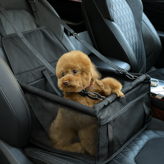 Trasportino Auto per Cani Pieghevole
